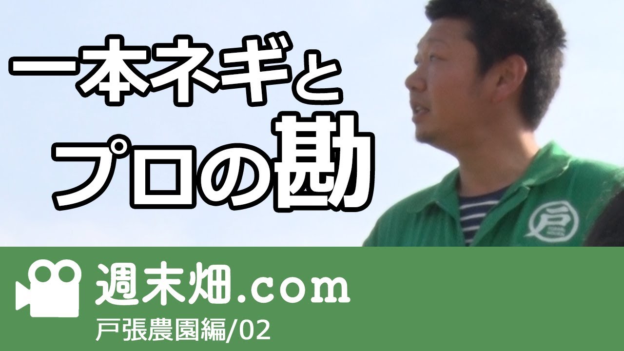 一本ネギとプロの勘-戸張農園