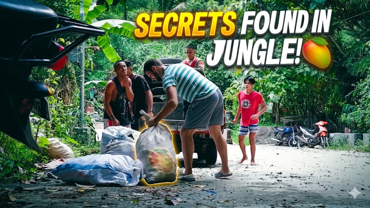Where the Jungle Meets the Sea