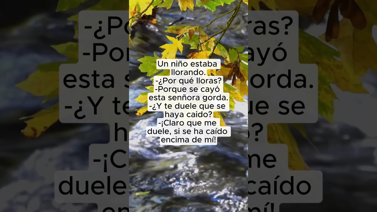 Risas todo el día | Anécdotas. 