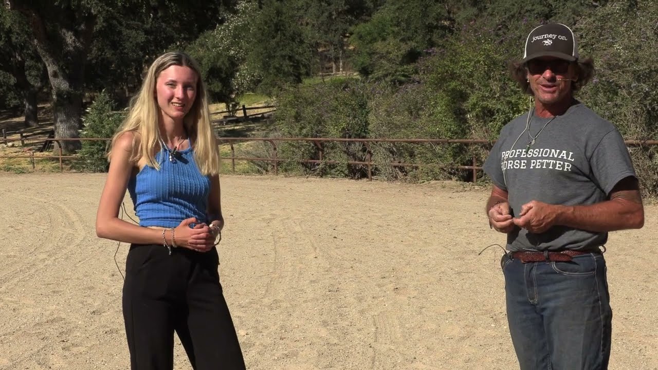 Teaching a Horse to Jump at Liberty