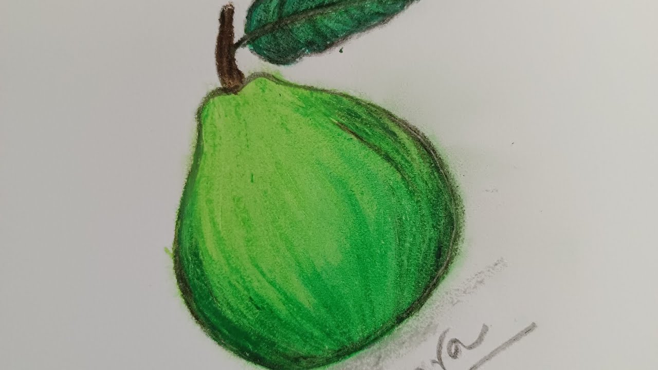 how to draw a guava | draw a guava | guava drawing | how to draw a guava step by step | guava