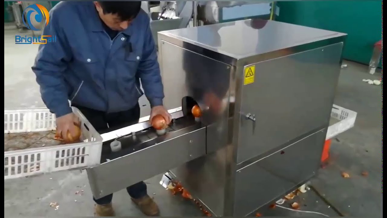 Onion powder production line- sales009@brightsail-asia.com