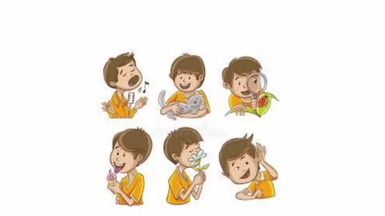 Οι Πέντε αισθήσεις. Τραγούδι της Σάσας Καραγιαννίδου - Πέννα