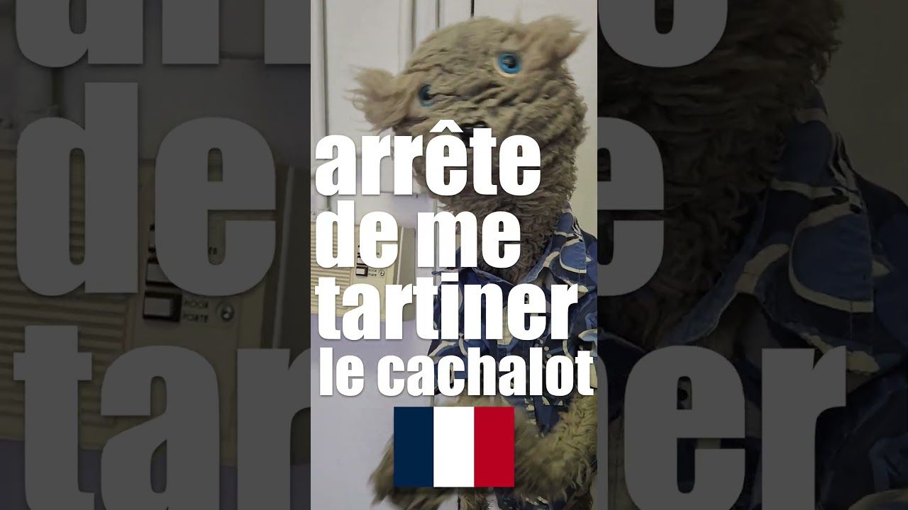 Guénille l'influenceur #40 - France/Québec : Une signification deux expressions 