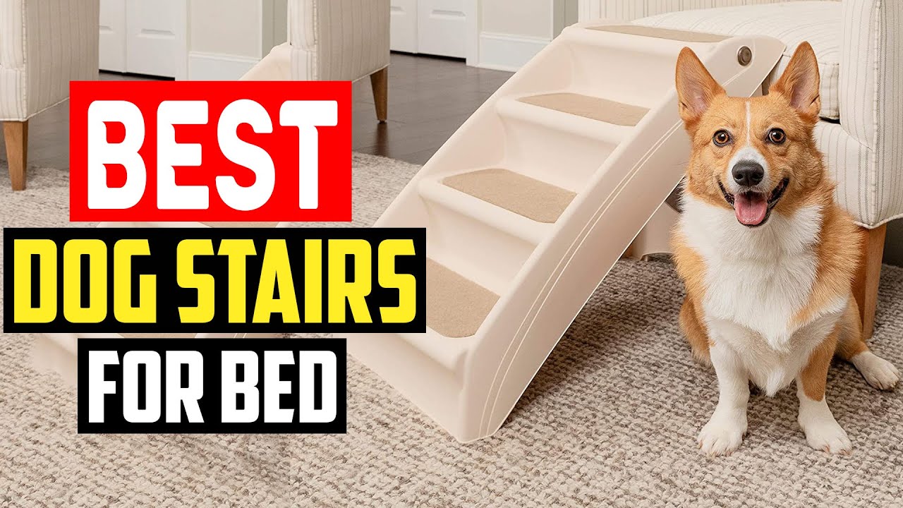 Top 5 Best Dog Stairs for Bed in 2025