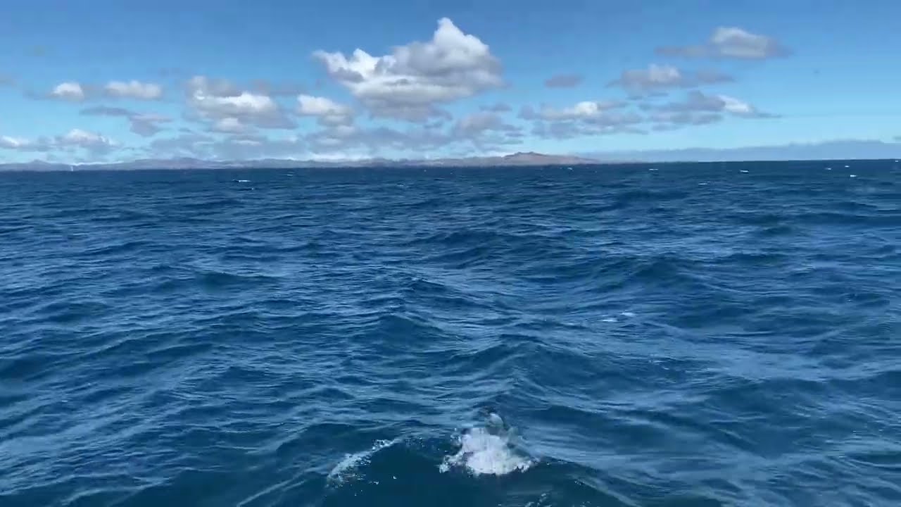 Entspannter segeln mit dem Vorsegel !            B&G     SY Vixen