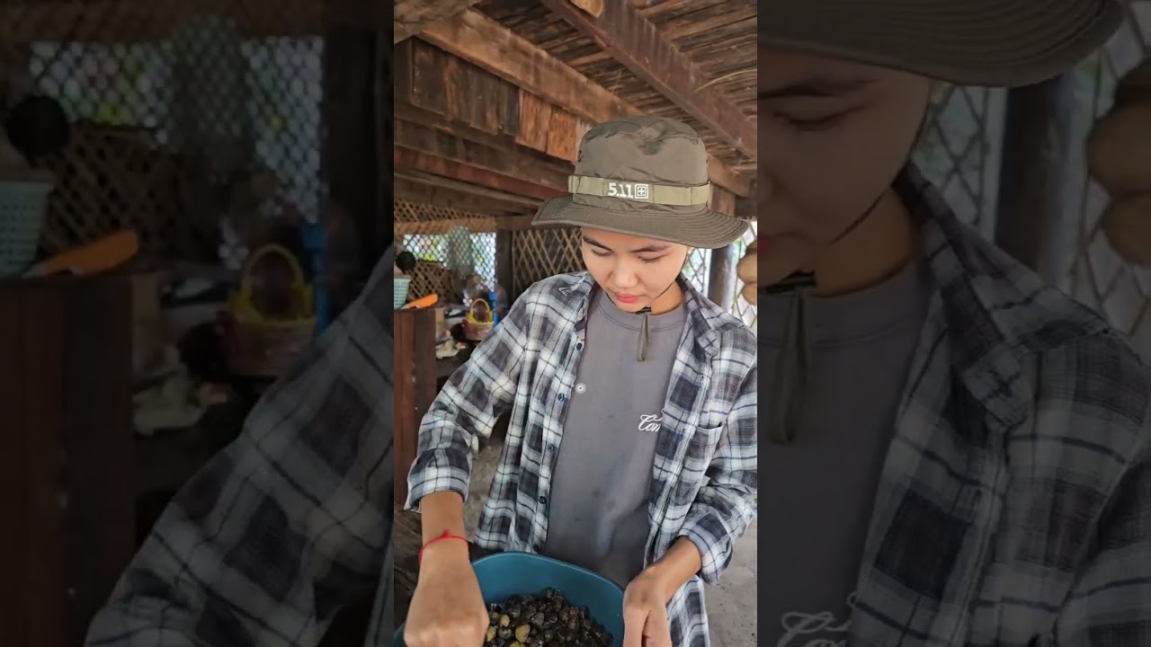 ទៅរើសលៀស 