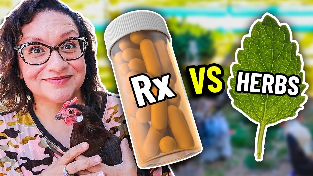 Болезнь поразила всё моё стадо. Вот как я их СПАС.