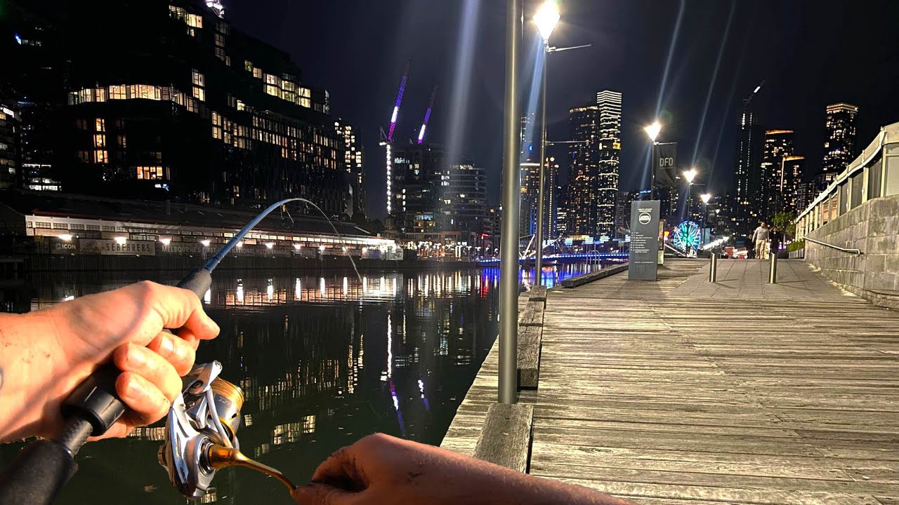 Melbourne's City Nightlife Fishing for MONSTER FISH!