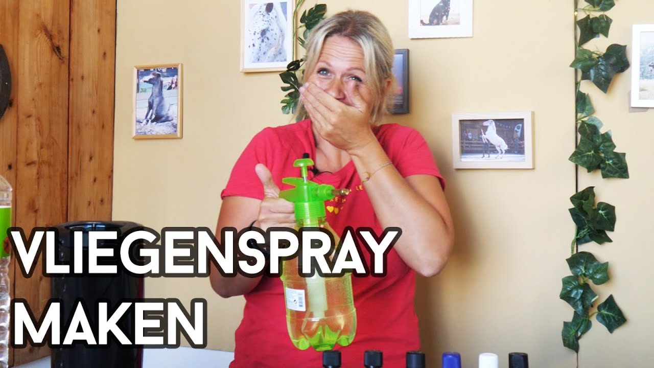 HOE MAAK JE GOEDKOPE VLIEGENSPRAY VOOR JE PAARD?