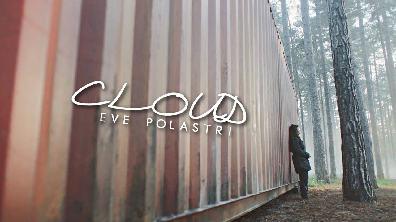 Eve Polastri | It's All Your Fault [3x06]