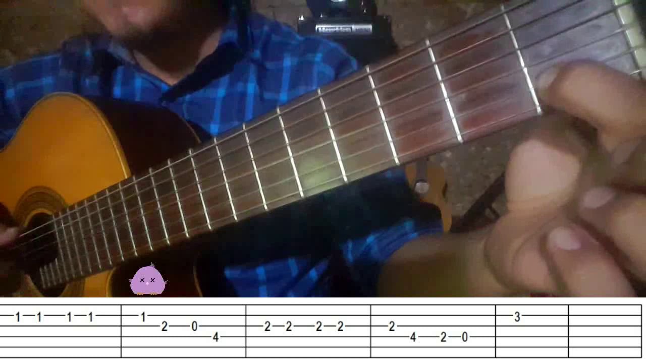 Pájaro Chogüi Primera parte (Guitarra)