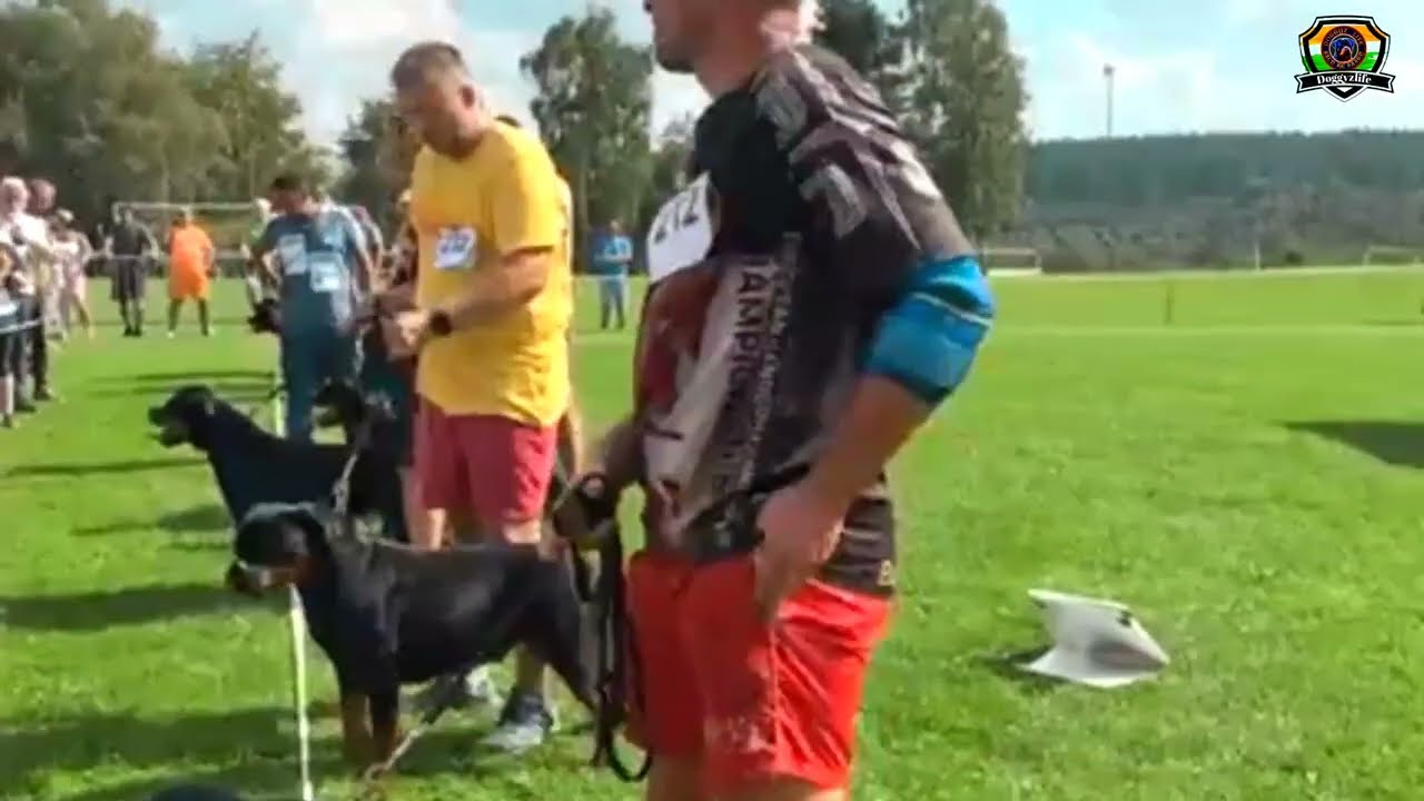 ADRK Allgemeiner Deutscher Rottweiler Klub e.V | Rottweiler Speciality Klubsieger | Doggyzlife