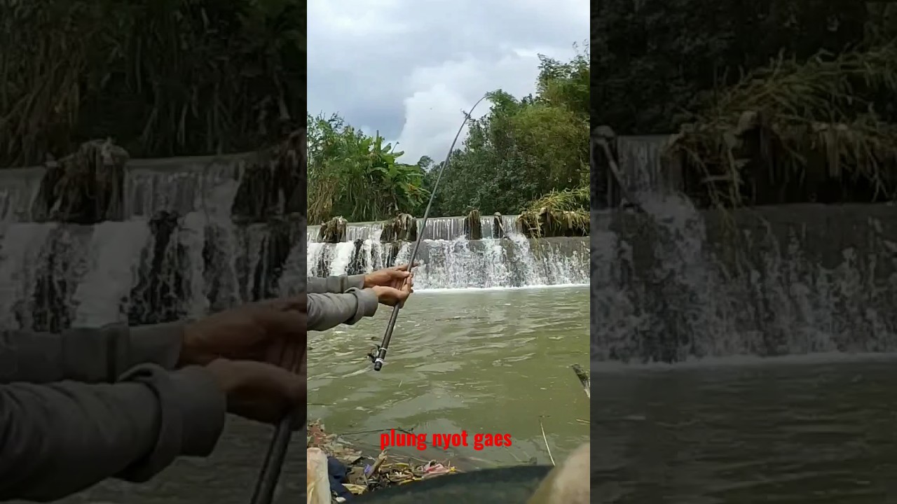 Mancing nutul