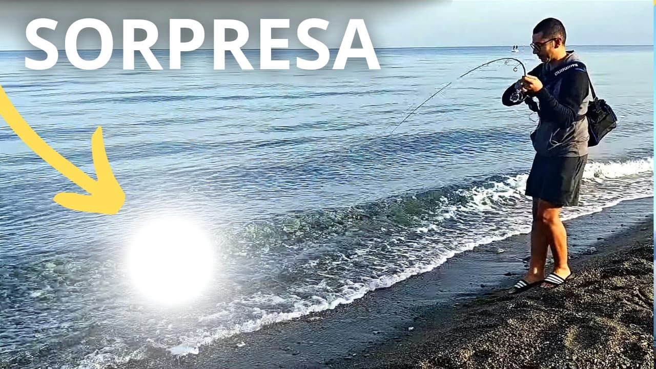 LECCIA AMIA attacca un'ESCA PICCOLISSIMA