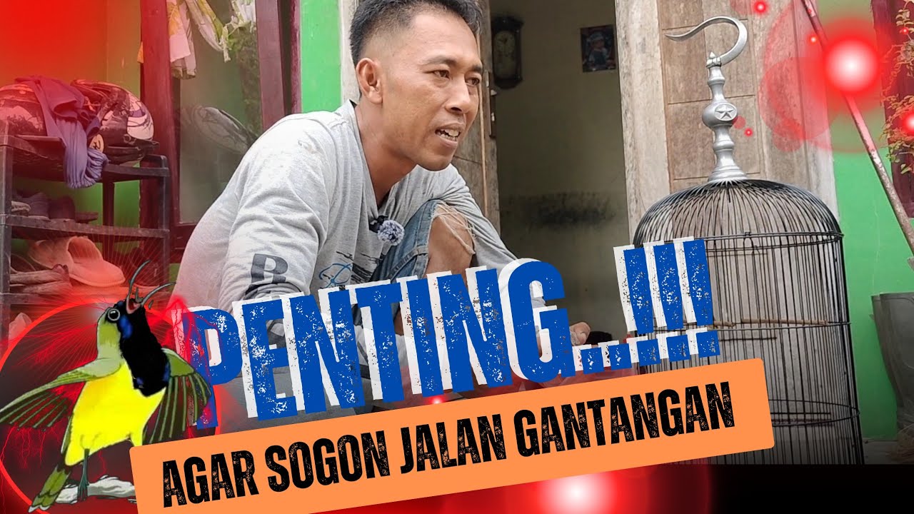 ACUAN PENTING BIKIN SOGON JALAN DI GANTANGAN