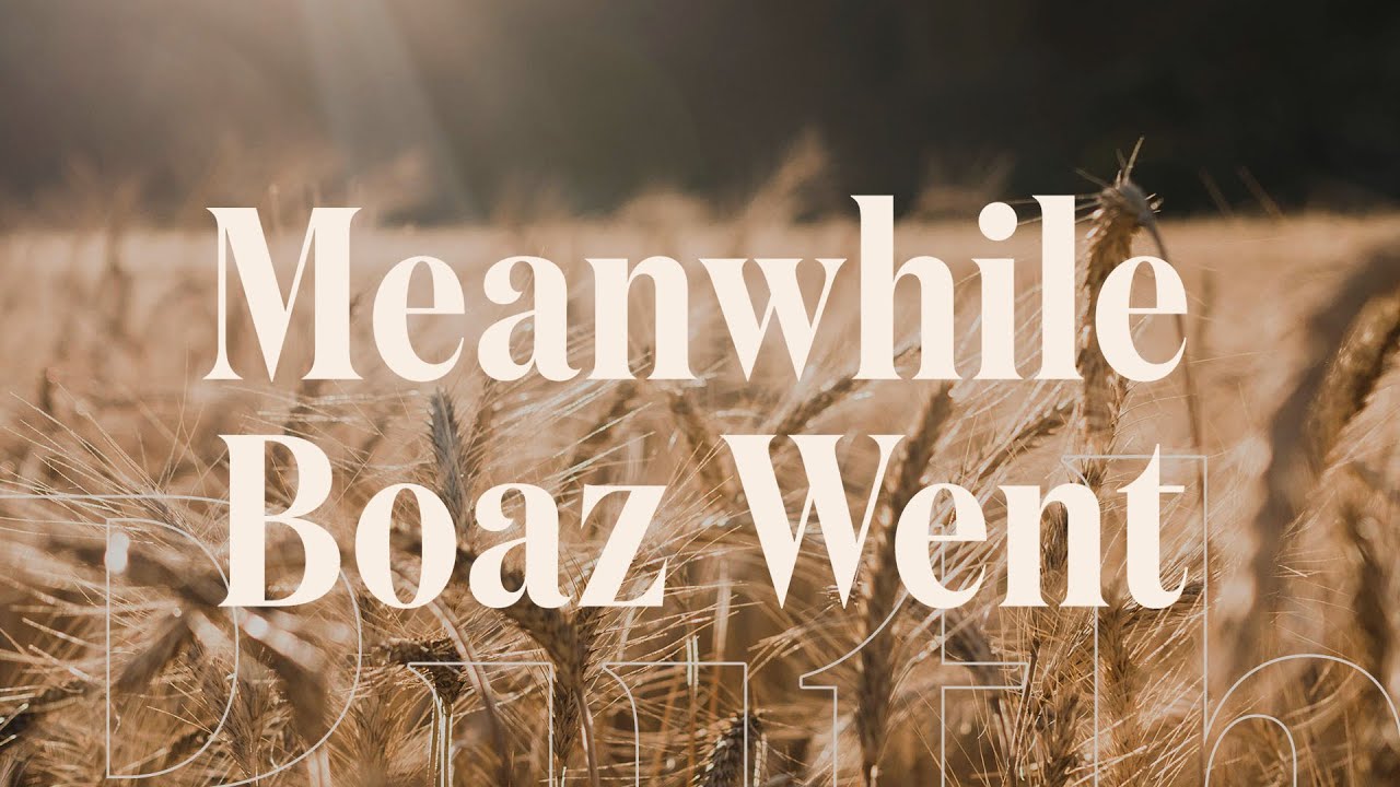 Meanwhile Boaz Went