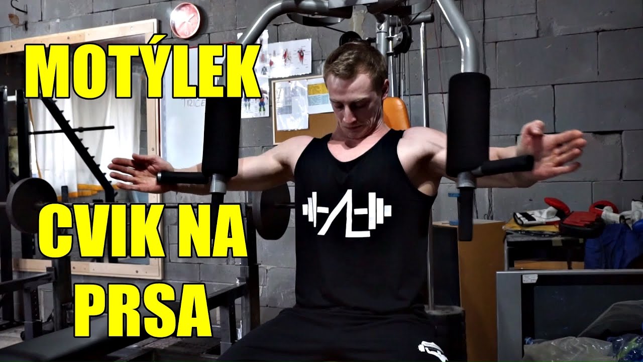 Mot&yacute;lek | Cvik na hrudn&iacute;k