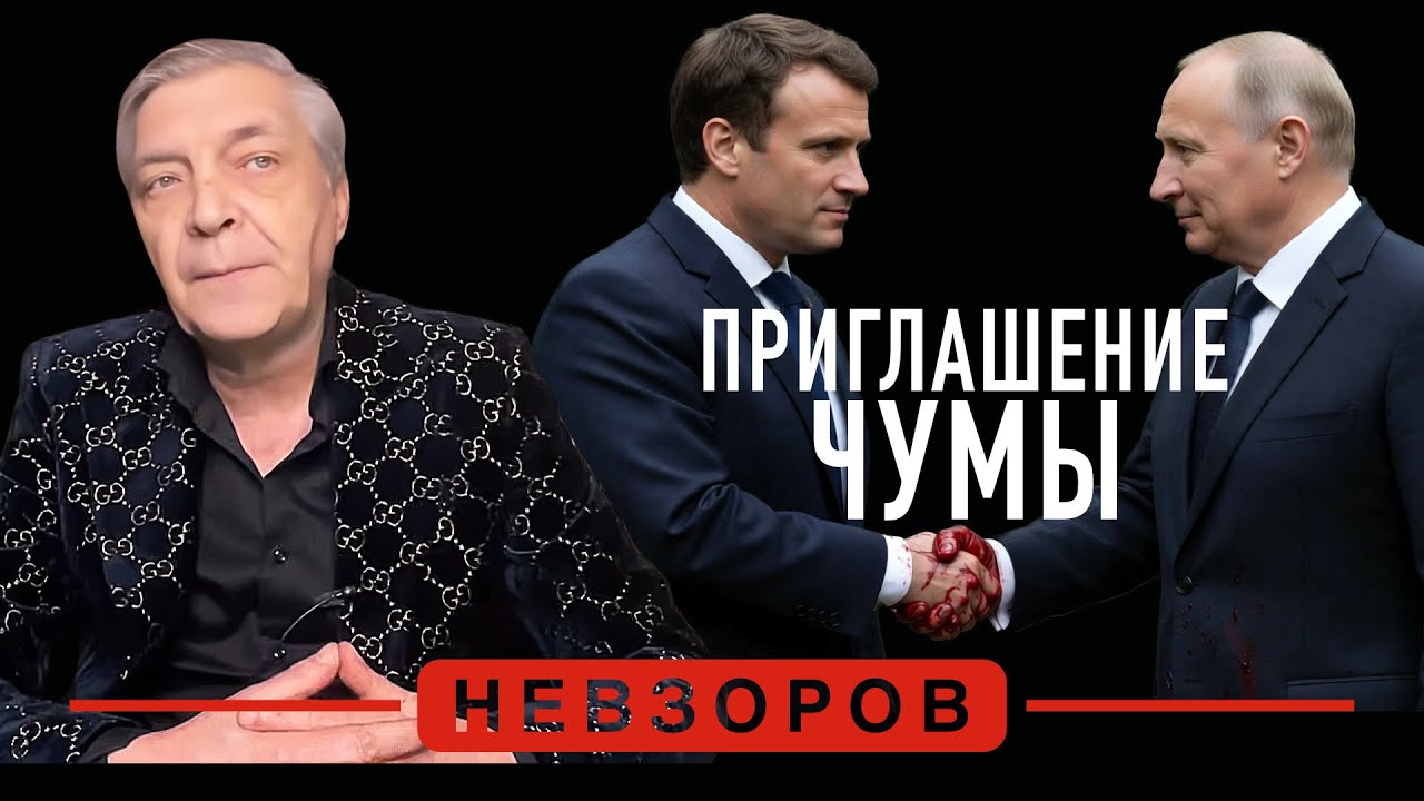 Комитет мира по Украине #невзоров
