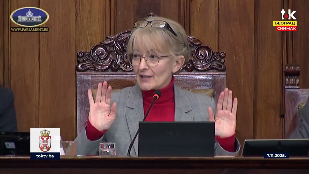 HAOS U Skupštini Srbije - Novaković, Parandilović - Jovanov II TOK TV II 2025