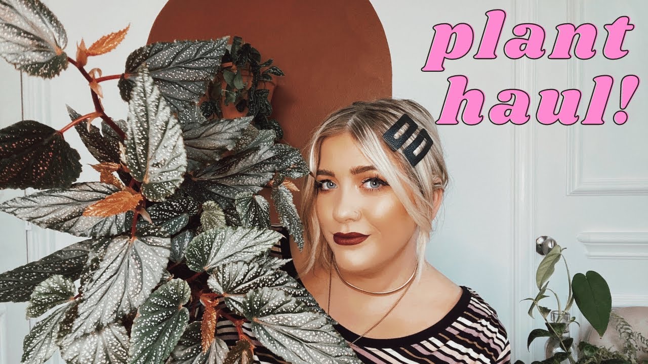 NEW Houseplant HAUL - December 2020