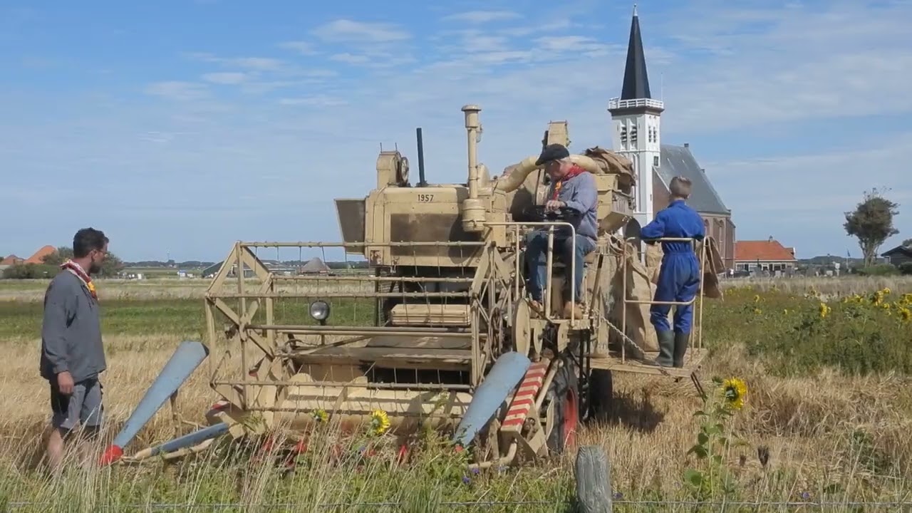 Gerst oogsten met een oude combine; Den Hoorn, Texel, 23 aug. 2023.