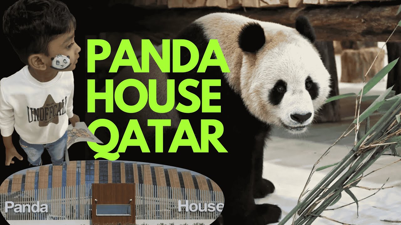 A visit to PANDA HOUSE QATAR | Edward & Emma |