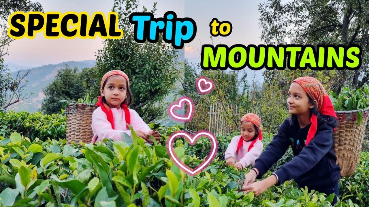 SPECIAL TRIP TO MOUNTAINS ❄️🌲🎉 | Family Vlog | Aayu and Vanu
