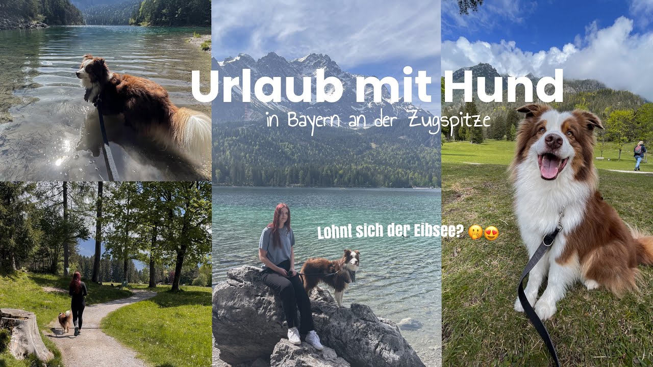 Ist das DER SCHÖNSTE SEE in Deutschland? 😍 KURZTRIP mit Hund📍Vlog