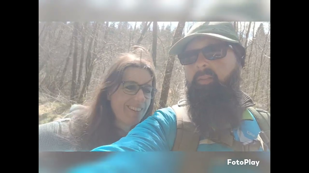 Narzissen Wanderroute bei Monschau