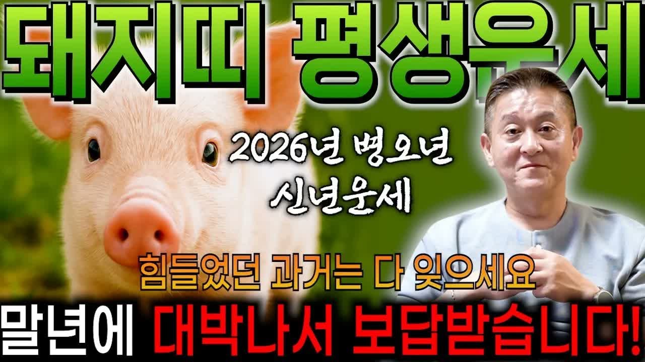 2026년 병오년 돼지띠 신년운세 총정리｜그동안 정말 고생 많았습니다, 생각지도 못한 큰 행운과 함께 금전·귀인운이 폭발한다 (59·71·83·95년생)