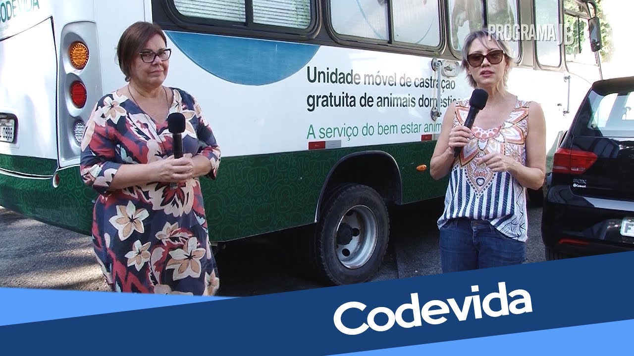 Codevida | Adoção, castração e controle de animais de rua