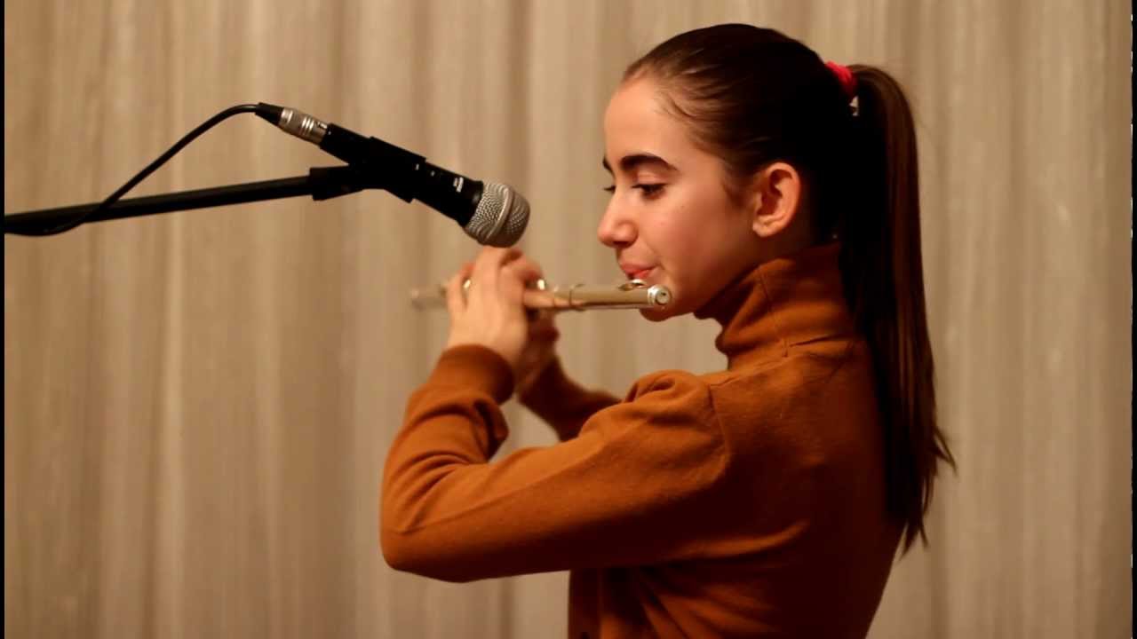 Flute Celtic Music - Irish Flute - The Queen's Dream