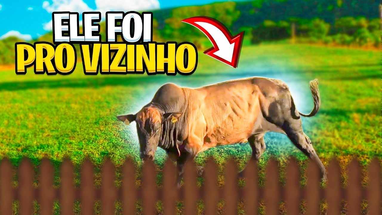 BIPOLAR FUGIU PRA FAZENDA DO VIZINHO