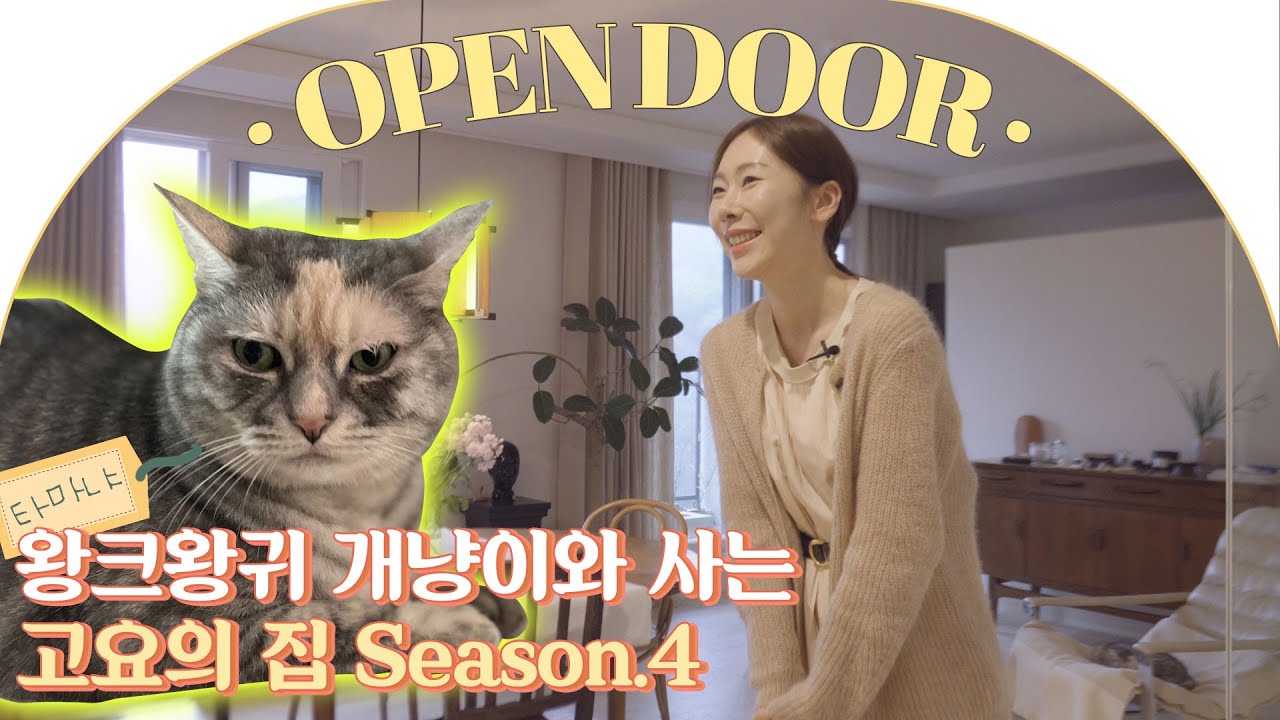 [Open door🚪] 인테리어 컨셉is 할매니얼 스타일👵🏻? 개냥이 세마리와 사는 공간 디렉터 최고요의 네 번째 하우스ㅣ랜선집들이 House Room Tour
