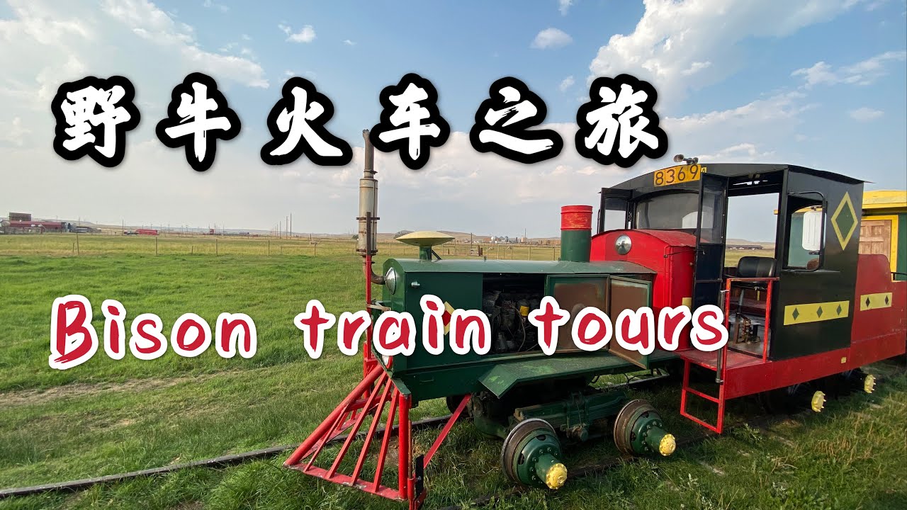 Terry bison ranch, one hour Bison train tours. 野牛火车之旅，坐着火车看风景，喂野牛。横跨怀俄明州和科罗拉多州的大农场。