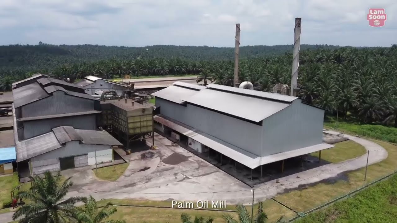 Lam Soon Plantation Lahad Datu