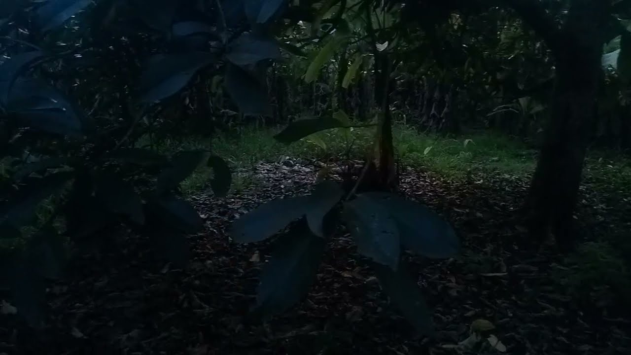 Cek lokasi sandekala di lokasi angker ada sosok hitam dan kuntilanak merah.