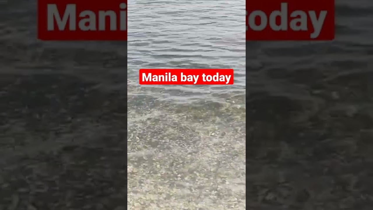 kuyaedph YouTube channel#bbm #ofw#manila#manilabay#viralvideos#viralshorts#viral