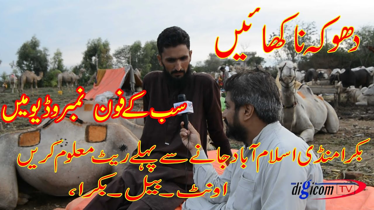 bakra mandi islamabad k rate || بکرا منڈی اسلام آباد کےجانوروں کی قیمت || #bakramandi #bakra
