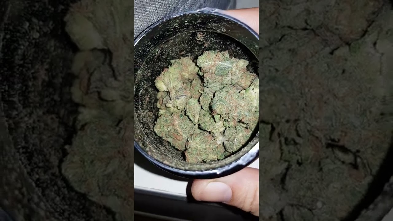 Bubblegum Zkittles 19 Alpha Eight