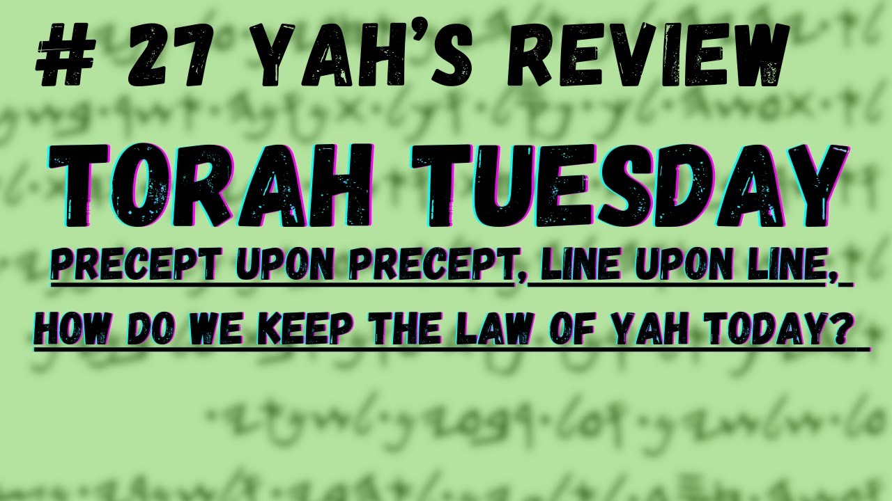 Torah Tuesday #27 (Leviticus 19)
