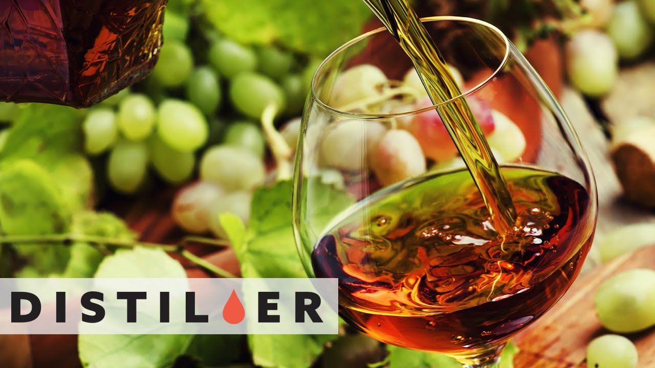 Что такое коньяк? | Всё, что вам нужно знать