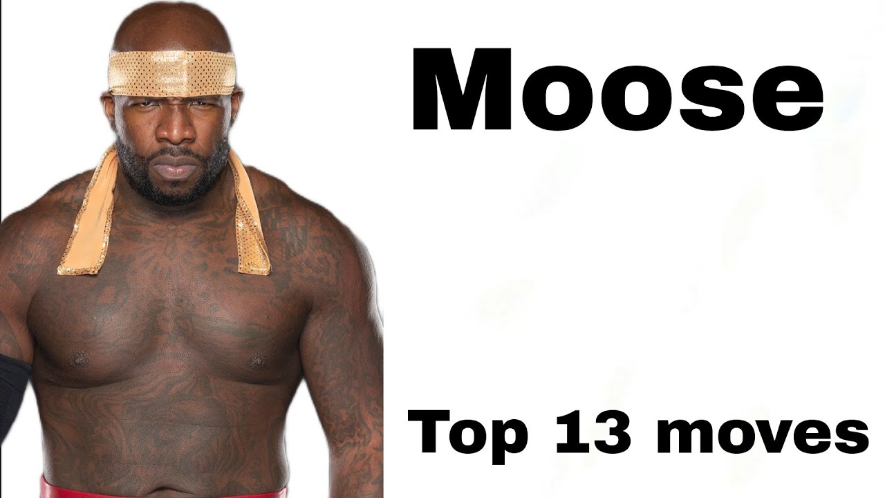 Top 13 moves of Moose