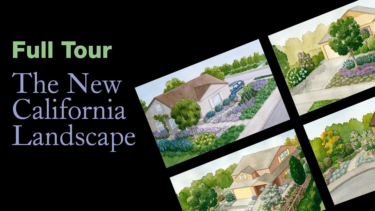 Full Tour of the New California Landscape