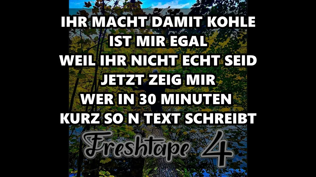 FRESHZINN - BODENLOSE FRESHHEIT (lyrics on screen)