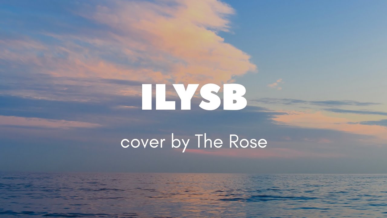 The Rose - ILYSB (LANY) Cover - Lyric Video