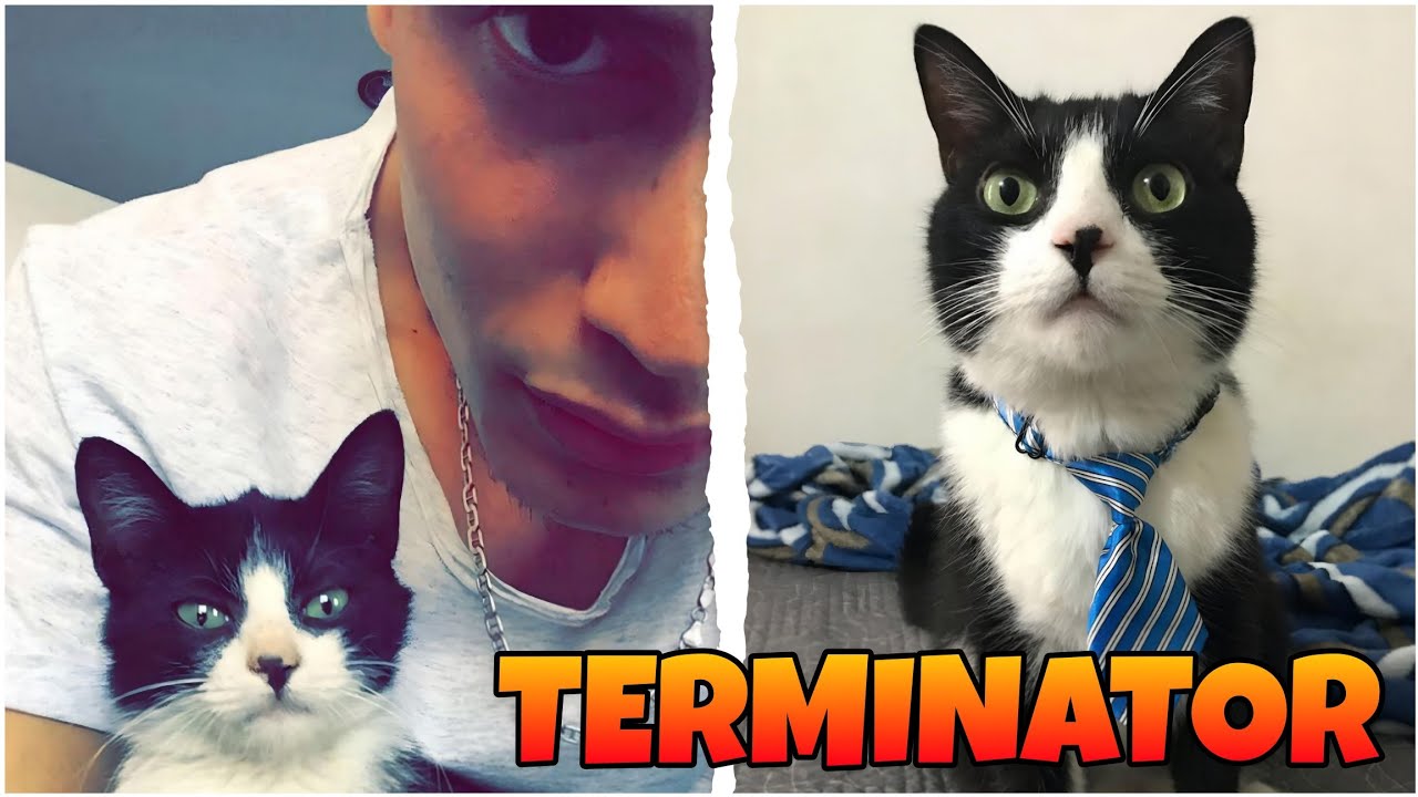 TERMINATOR • ANÉCDOTAS & Charla • TattoXtreme 