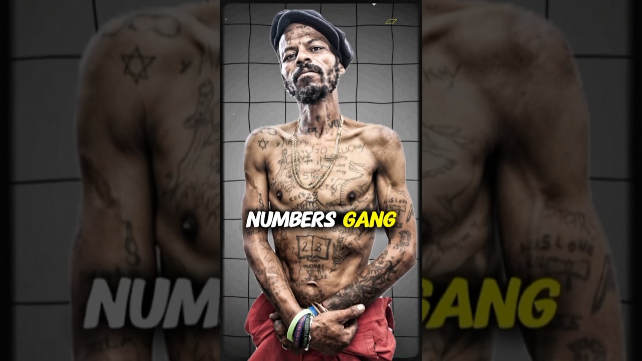 Numbers Gang &ndash; South Africa&rsquo;s Most Dangerous Prison Brotherhood | 26s, 27s & 28s Explained #gang