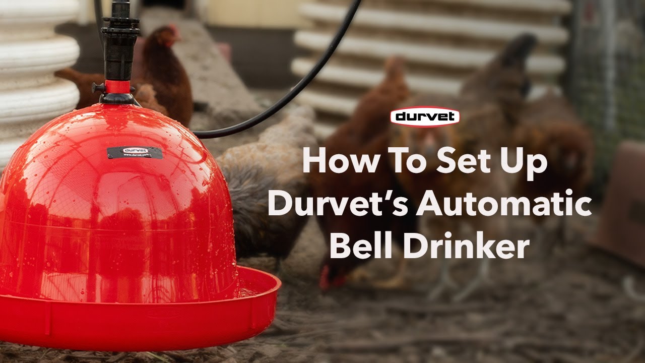 How to Set Up Durvet's Poultry Bell Drinker | Quick & Easy Guide!